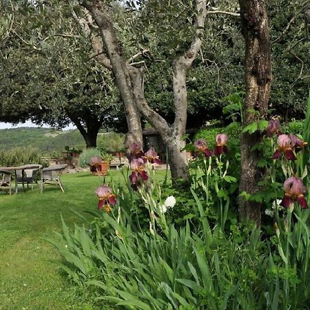 Castello Di Colognole - Appartamento Quaratesi Greve in Chianti Exterior foto